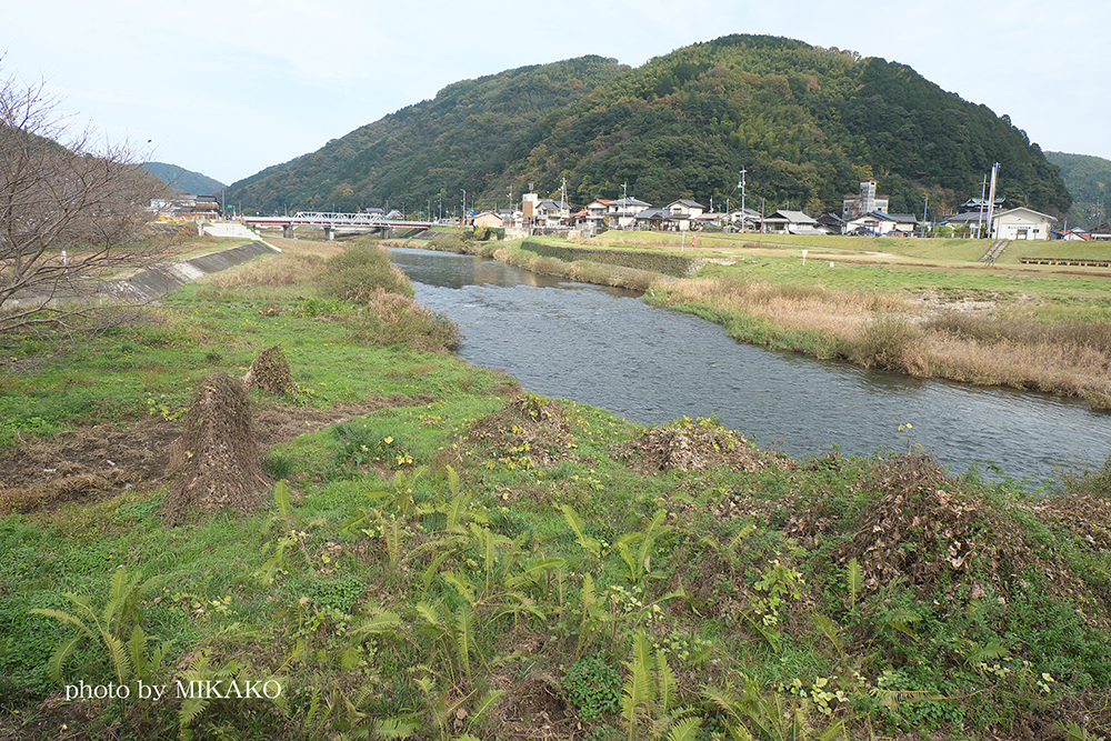 小瀬川の風景
